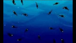 lemon jelly - nice weather for the ducks