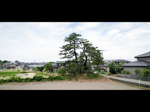 聖籠町の文化財　史跡・天然記念物