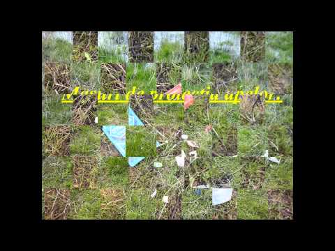 Discavery telepictures music