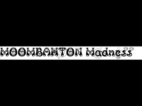 Moombahton Madness VOL2 ''The Melody Special''PROD BY FREDDSON