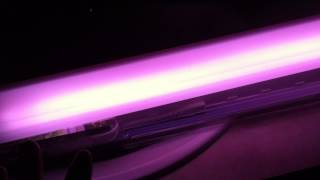 Super affordable grow lights for a budget and beginners in aquaponics or indoor gardening