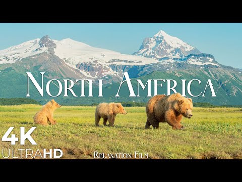 North America 4K • Spirit of the Land - From Native Ceremony to Deep Calm | Relaxation Film