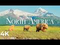 North America 4K Spirit Of The Land Relaxation Film Native Flute Calm Piano