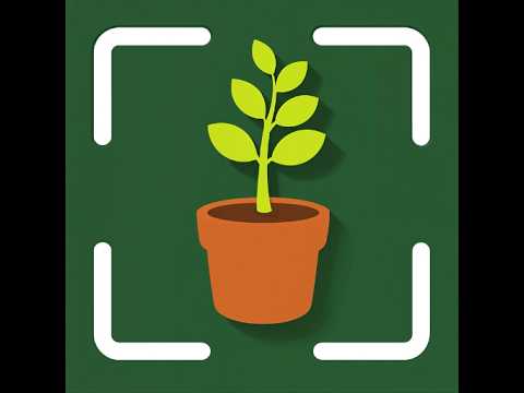 Plantly: Plant Identifier