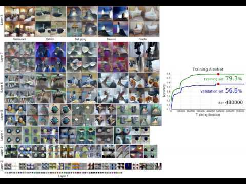 Visualizations of neurons at all 8 layers of CaffeNet throughout training - NIPS 2016
