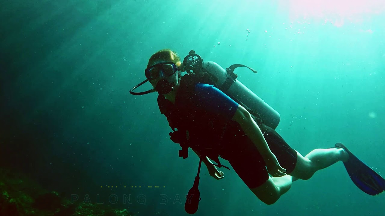 Discover marine life at Palong Wall with Scuba diving experience.