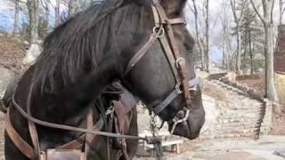 Day 329 Radford, Virginia