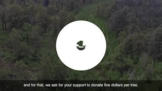 Planting trees donation campaign. Plant for de Planet Campaign