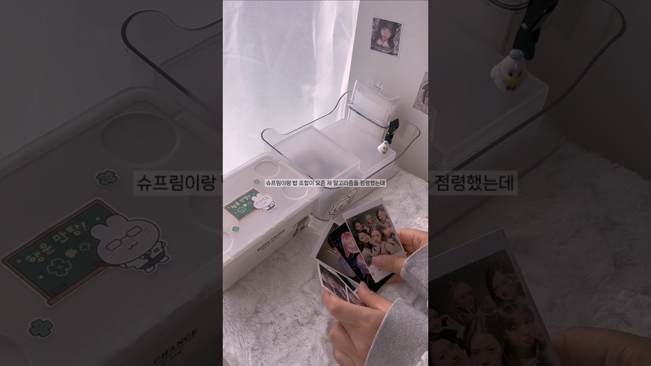 이 노래 저만 추억인가요 🥺 #추천 #포장계 #포카포장 #포카 #포장 #아이브