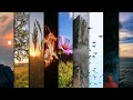 ️Kal Ho Naa Ho Status Shah Rukh Khan Saif Ali Preity Sonu Nigam Karan J New Aesthetic Video Status