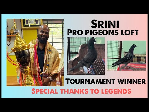 Srini ???? Pro Pigeon Loft , Tournament Winner , Special thanks ????