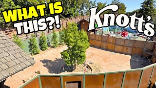 NEW! Knott's Berry Farm Camp Snoopy Updates, MonteZOOMa Revenge, Scary Farm + More!