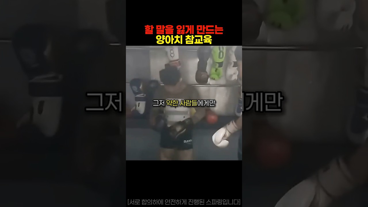 [스포츠 인기영상] 격투기 스파링을 통해 처음으로 현실…
