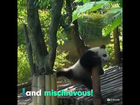 Luz Marina Echavarria.  La vida sencilla puede complicarse.