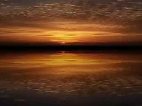 Baharamji Maneesh de Moor Dreamcatcher