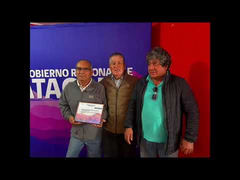 Con recursos aprobados por el Consejo Regional taxicolectivos de Vallenar contarán con más seguridad