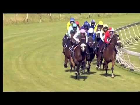 2020.01.11 Queens Plate (RSA) - Vardy