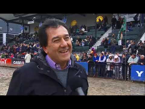 Palermo 2018 tercer mejor macho Angus para Cabaña El Señuelo