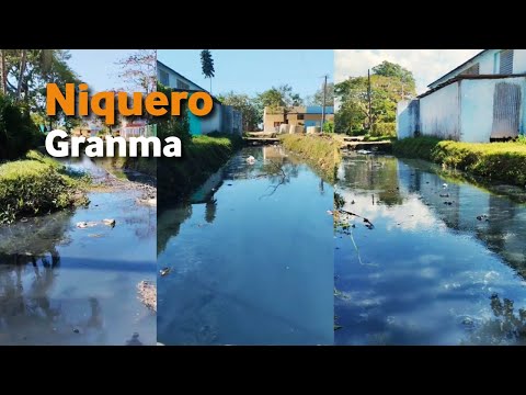 Así permanecen las ZANJAS de aguas RESIDUALES en el municipio Niquero, Granma