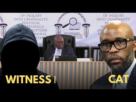Madlanga Commission | Witness 'stayed at Cat Matlala's house for safety'