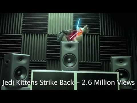 Jedi Kittens Strike Back