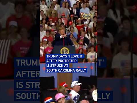 Trump says 'I love it' after protester is struck at South Carolina rally #worldnow