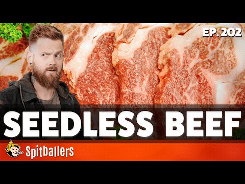 Seedless Beef & Things We Miss From Our Childhood - Episode 202 - Spitballers Comedy Show