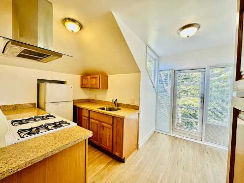 NS- 2907 MLK - Video 2 of 2