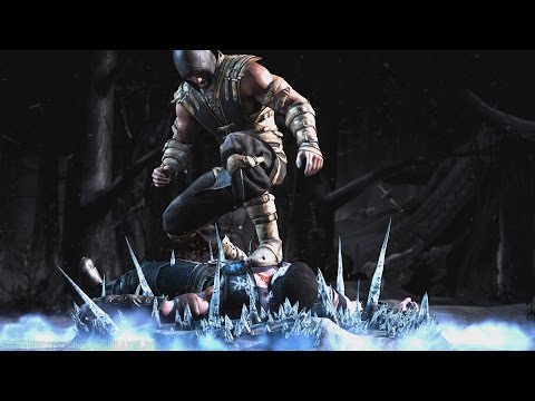 Mortal Kombat X - Scorpion/Sub-Zero Mesh Swap Intro, X Ray, Victory Pose, Fatalities and Brutality Video