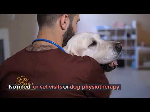 Pain Med For Dogs Video