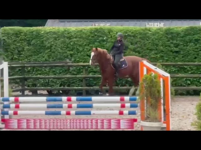 Riding movie at home Stallone N.