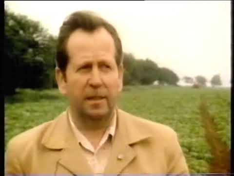 Das rote Mansfeld, Teil 3