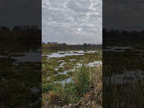 Laguna de San Vicente en Buenos Aires Argentina