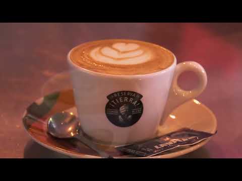 Dal chicco alla tazzina: caffè e cappuccino fatti a regola d’arte