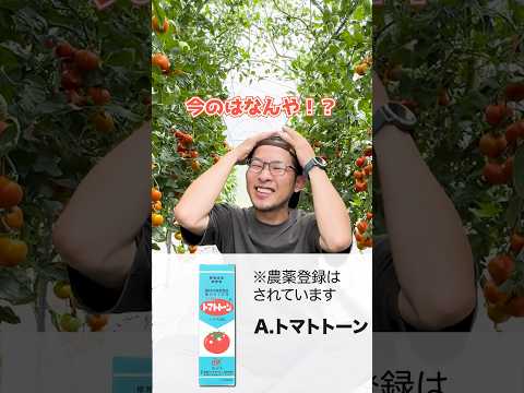 園芸 粗葉ユーパトリー、軟葉ユーパトリー