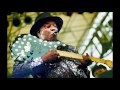 Buddy Guy - Sweet Little Angel (Live The Real Deal) ( Audio only)