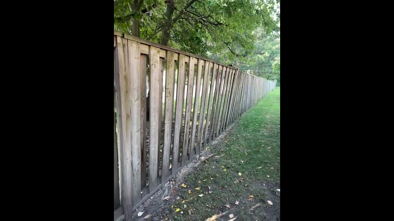 External video