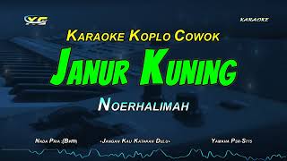Download lagu Noerhalimah Janur Kuning Karaoke Koplo... mp3