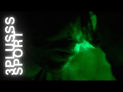3Plusss - Sport (prod. von Peet) [Official Video]