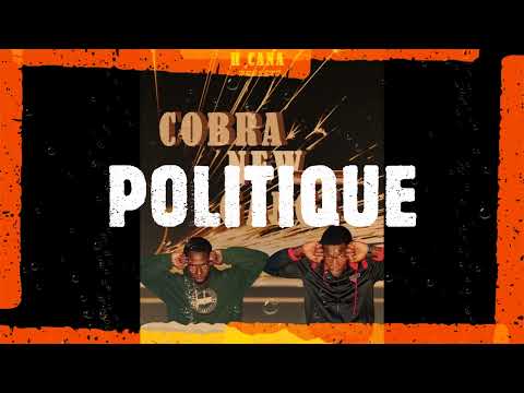 COBRA GANGS_-_politique ndiago