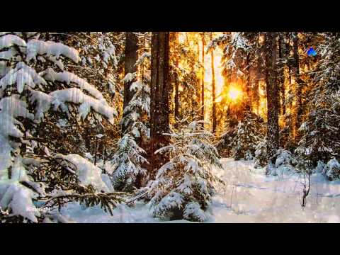 ♡ SEAY - Winterlight (beautiful music)