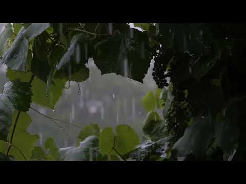 Peaceful Life Relaxing Music, Healing Music, Sleep Meditation, Khmer Flute Sound(Sleep Music)