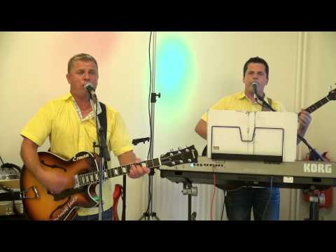 Ansambel Dolenjski fantje-Na zdravje muzikant (v živo)