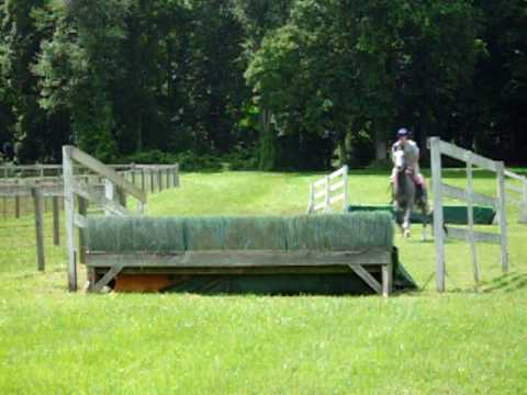 Torlundy 2nd time over hurdles