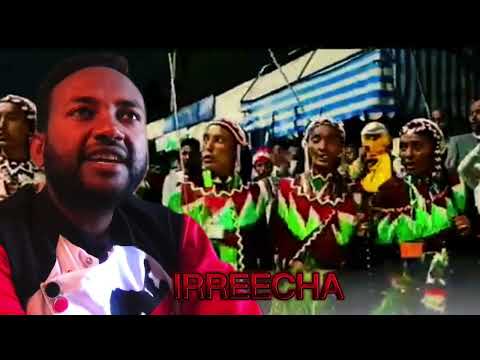 #Irreecha New Poem by Hailu Balcha Official video (2024)