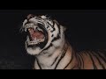 Miguel Perderme Slowed