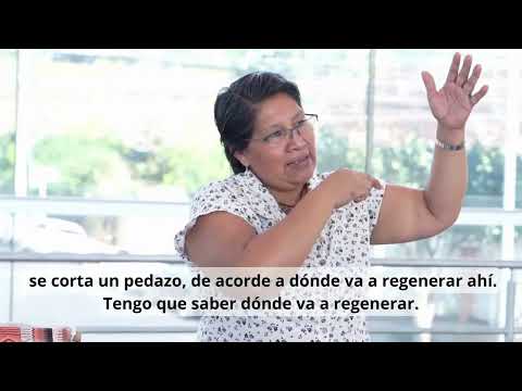 Mujeres indígenas en el Costa Rica Fashion Week, textiles boruka