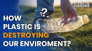 How plastic is destroying our environment and what to do about it