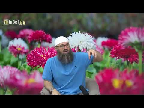 Post i napaštanje u mjesecu ševvalu (spajanje nijjeta) - Elvedin Pezić