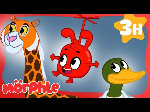 Is Morphle Quack to Normal? 🦆 | Morphle's Family | Preschool Cartoons